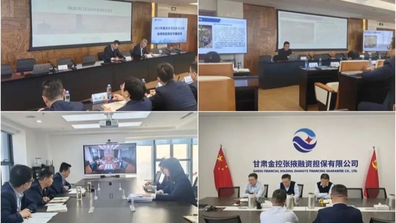  开云手机站官方端网站登录入口-开云(中国)举办2025年度协同项目推进会暨协同风险防控专题培训